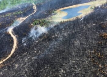 Wildfires spread in Quebec; US and France offer assistance.