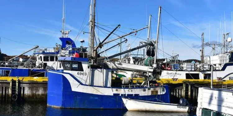 fishing-boat