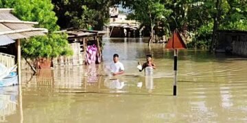 അസമിൽ പ്രളയക്കെടുതി രൂക്ഷം: മരണം 78 ആയി; 21,000 ഹെക്ടറിലധികം കൃഷിഭൂമി വെള്ളത്തിനടിയിൽ 2 അസമിൽ പ്രളയക്കെടുതി രൂക്ഷം: മരണം 78 ആയി; 21,000 ഹെക്ടറിലധികം കൃഷിഭൂമി വെള്ളത്തിനടിയിൽ