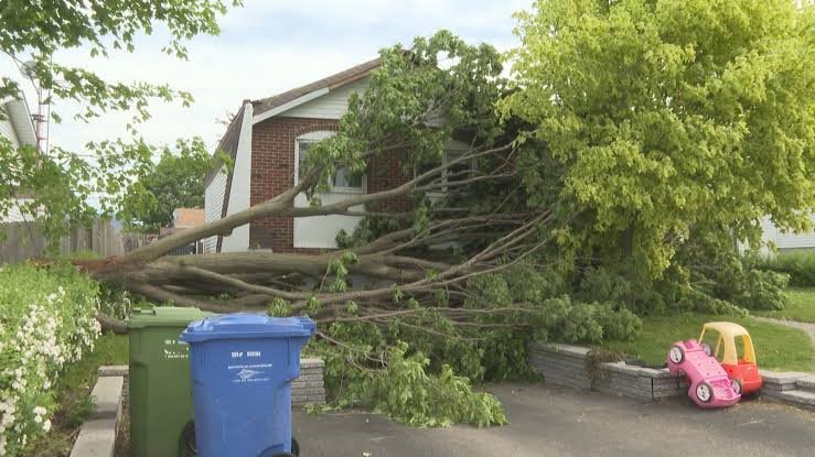 More than 35,000 Hydro-Quebec clients still without electricity as heat wave continues