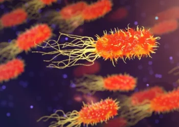 Legionnaires’ disease outbreak