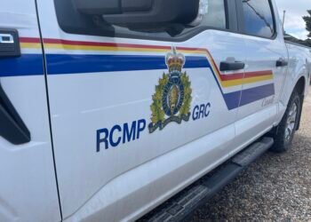 Shooting at attempted fuel thieves: Manitoba police register case against homeowner