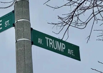 Some residents of Trump Avenue in Ottawa have asked their city councillor to change the name of the street following the Donald Trump presidency in the United States. (Tyler Fleming / CTV News Ottawa)