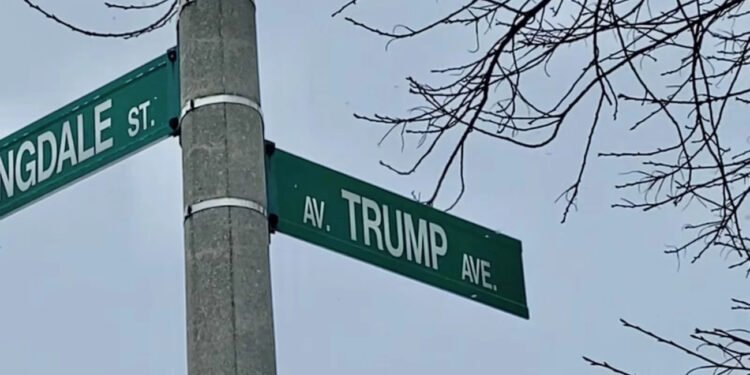 Some residents of Trump Avenue in Ottawa have asked their city councillor to change the name of the street following the Donald Trump presidency in the United States. (Tyler Fleming / CTV News Ottawa)