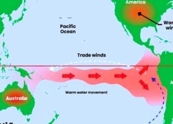 Super El Nino; കാനഡയിൽ ‘സൂപ്പർ എൽ നിനോ’ എത്തുന്നു; കാലാവസ്ഥയിൽ വലിയ മാറ്റങ്ങൾക്ക് സാധ്യത 9 al nino