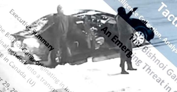 Bishnoi gang