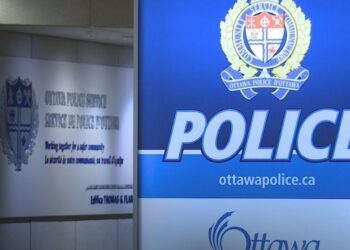 Ottawa shoplifting operation