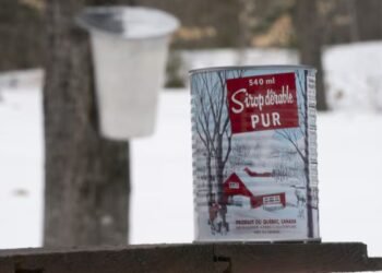 Sugar Adulteration In Maple Syrup; വിലകൂടിയ മേപ്പിൾ സിറപ്പിൽ പഞ്ചസാര മായം; ലാഭക്കൊതിയിൽ ഗ്രോസറി ശൃംഖലകൾക്ക് തിരിച്ചടി 3 fake-maple-syrup