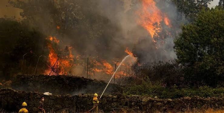 Climate change created conditions for Canada fires, scientists say, as Trump blames mismanagement