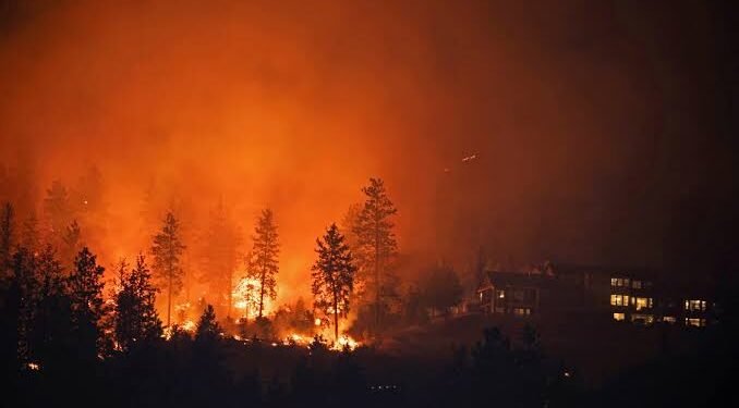 wildfire in Lions Bay, B.C