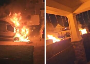Five vehicles caught fire in the northeast Calgary