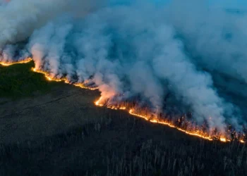 Canada Wildfire