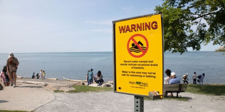 Health officials have banned swimming