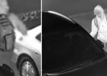 thefts from vehicles near Victoria