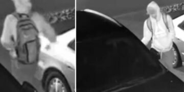 thefts from vehicles near Victoria