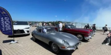 The Exotics Festival