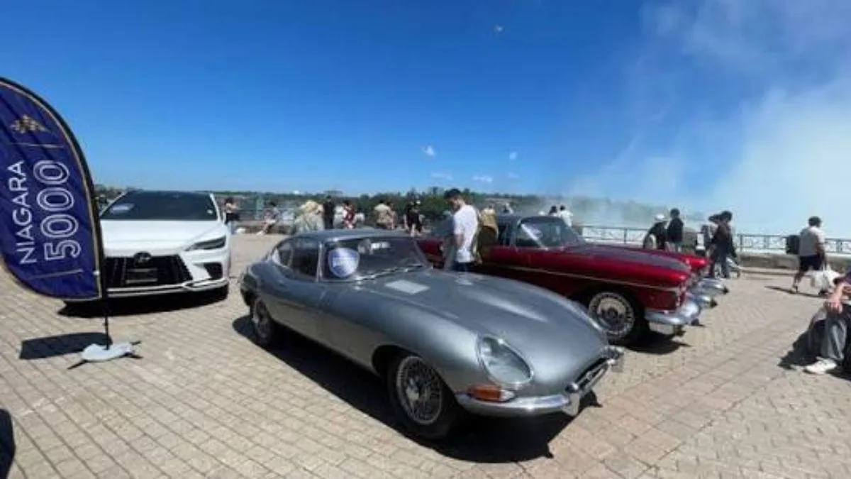 The Exotics Festival