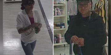 credit card fraud case