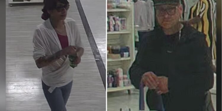credit card fraud case