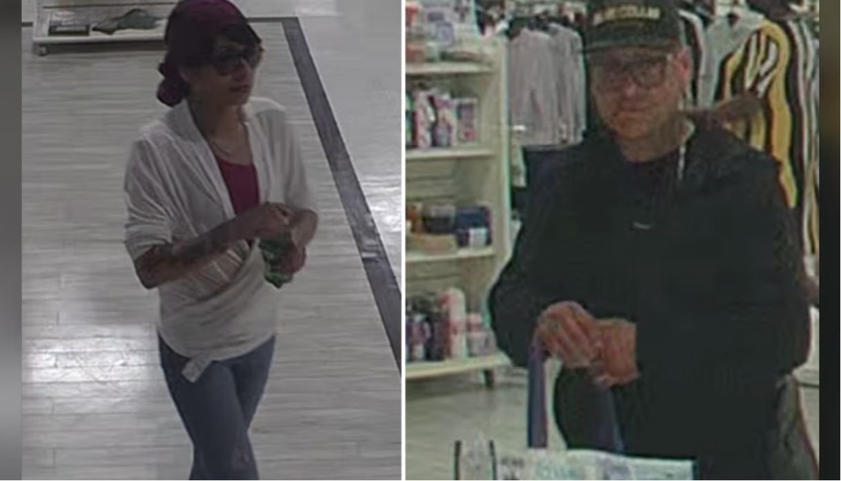 credit card fraud case