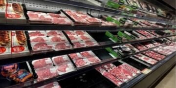 Meat
