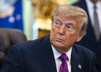 Trump mail-in voting rules blocked by US appeals court