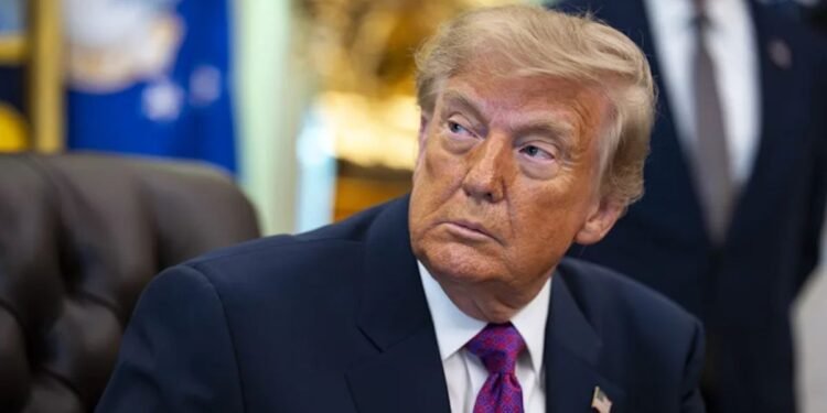 Trump mail-in voting rules blocked by US appeals court