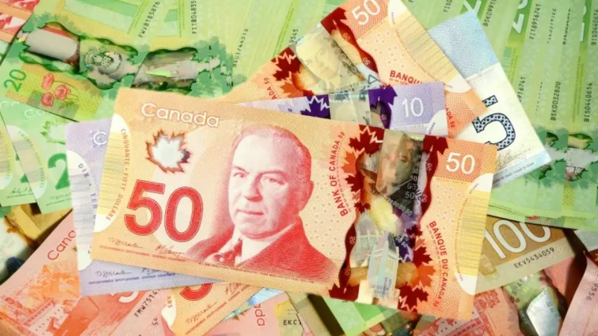 BC Disability Payment