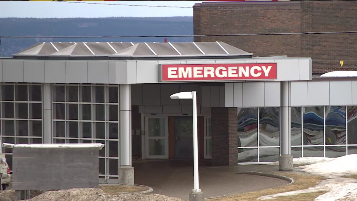 Canada travel nurse agency forensic audit investigation