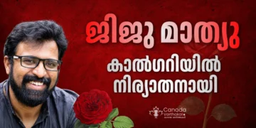jiju mathew