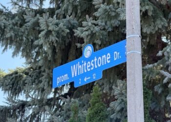 Trump Avenue and Whitestone Drive Intersection