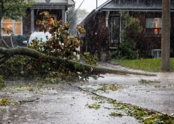 A downed tree and power line is seen in Toronto during a storm on Wednesday