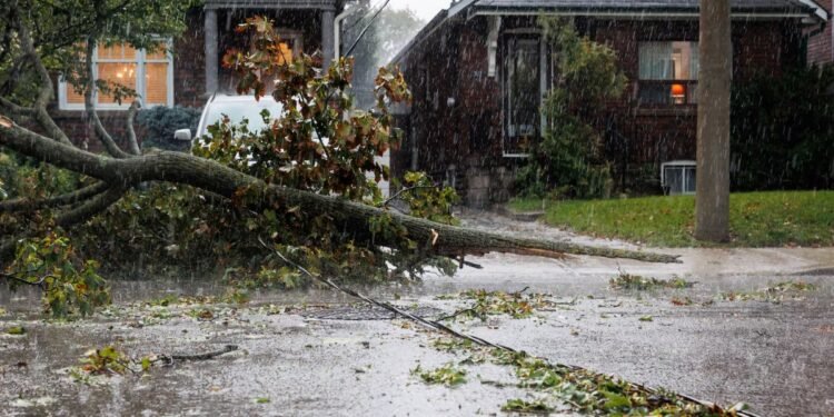 A downed tree and power line is seen in Toronto during a storm on Wednesday