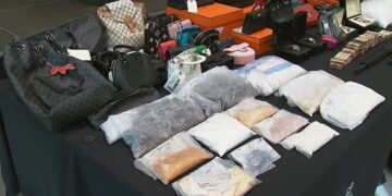 Canada dark web drug bust