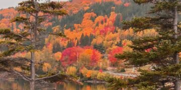 Cape Breton Fall Colours